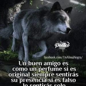 Meet your Posher, Pedro